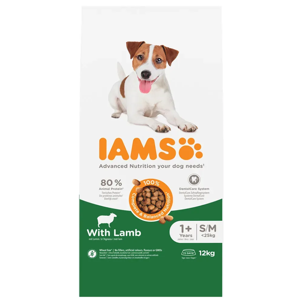 IAMS Advanced Nutrition Adult Small & Medium Dog mit Lamm - Sparpaket: 2 x 12 kg