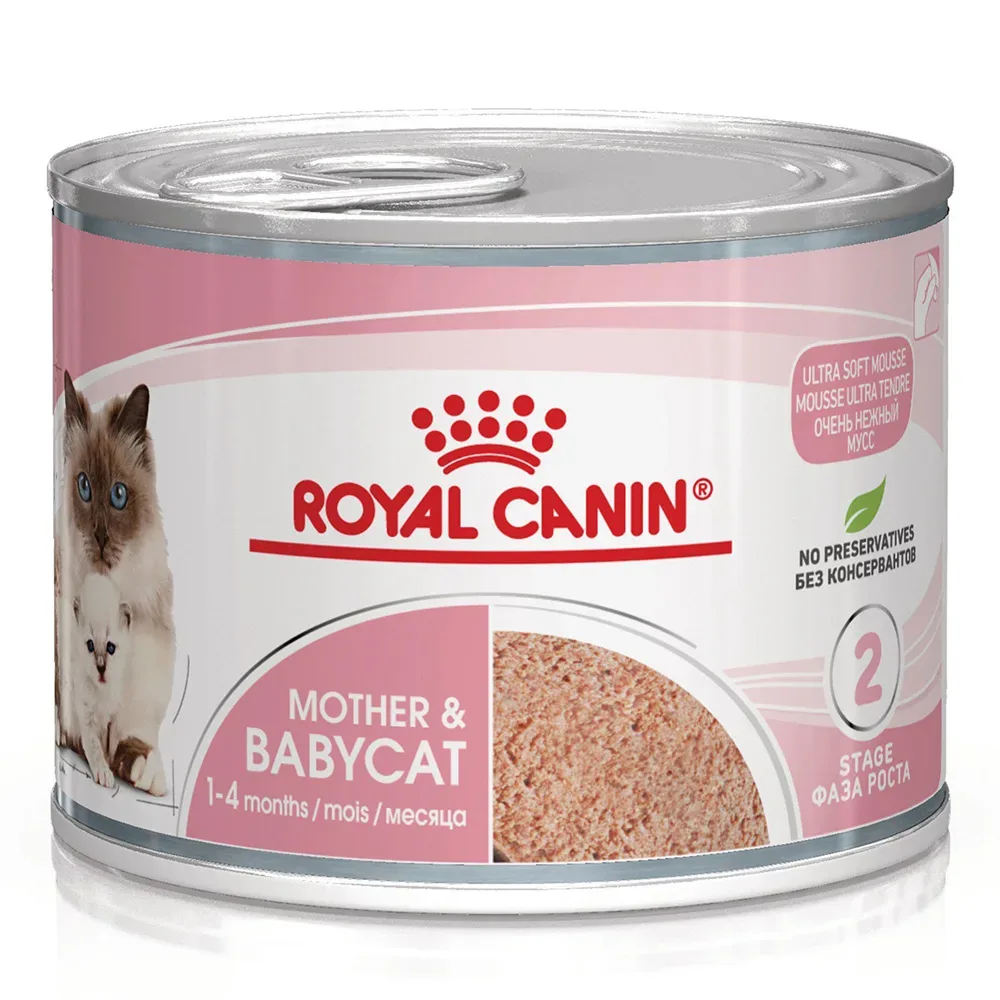 Royal Canin Mother & Babycat Ultra Soft Mousse - Sparpaket: 48 x 195 g