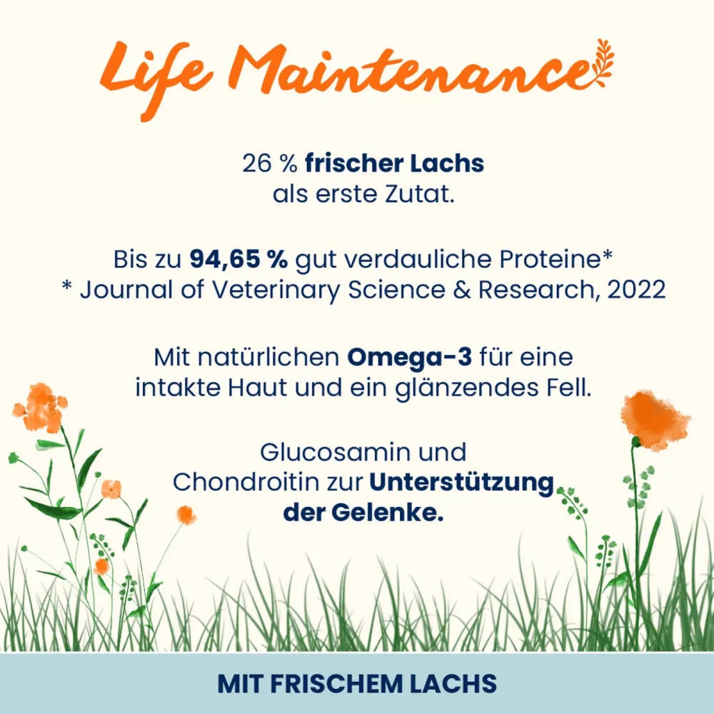 Almo Nature Life Maintenance Adult Lachs und Reis Large - Sparpaket: 2 x 12 kg