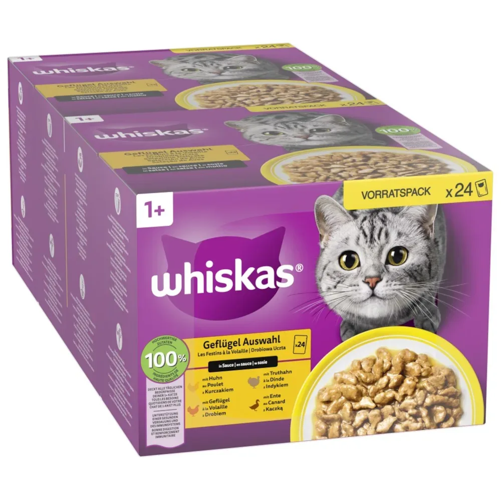 Megapack Whiskas 1+ Adult Frischebeutel 48 x 85 g - Klassische Auswahl in Sauce