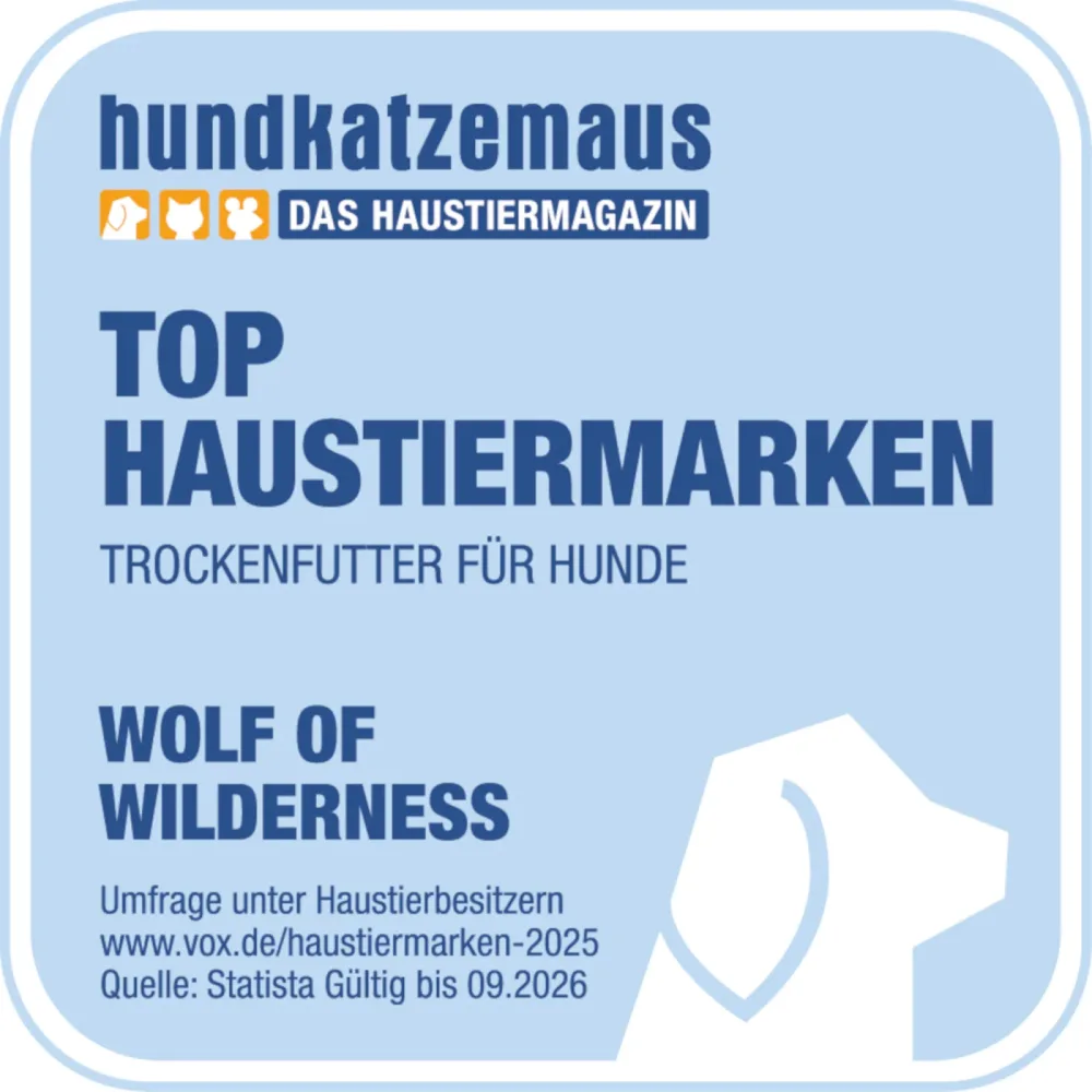 Wolf of Wilderness 
