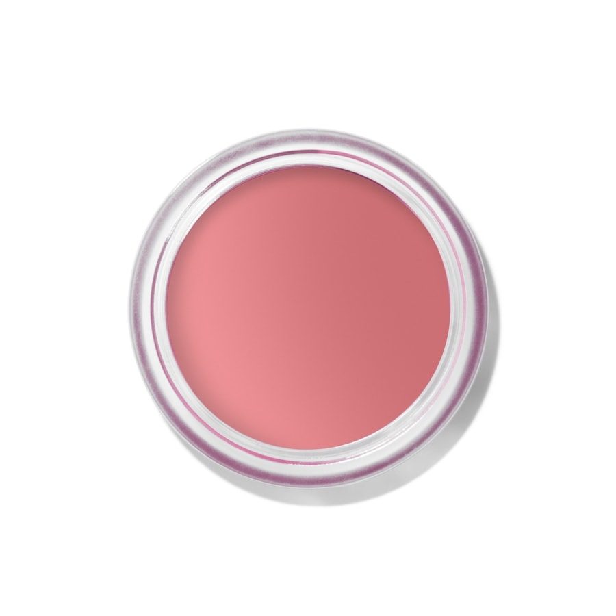 Bobbi Brown Pot Rouge Velvet Matte Blush 8,5 g 01 - TEA ROSE