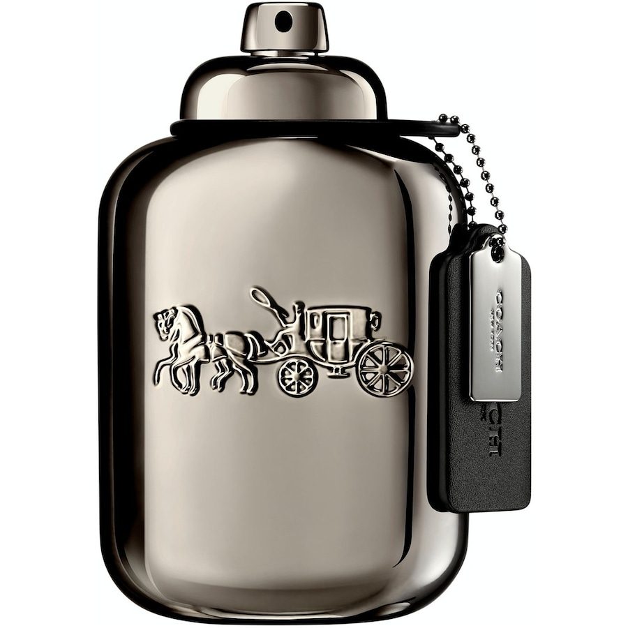 COACH Pure Platinum Parfum 100 ml Herren