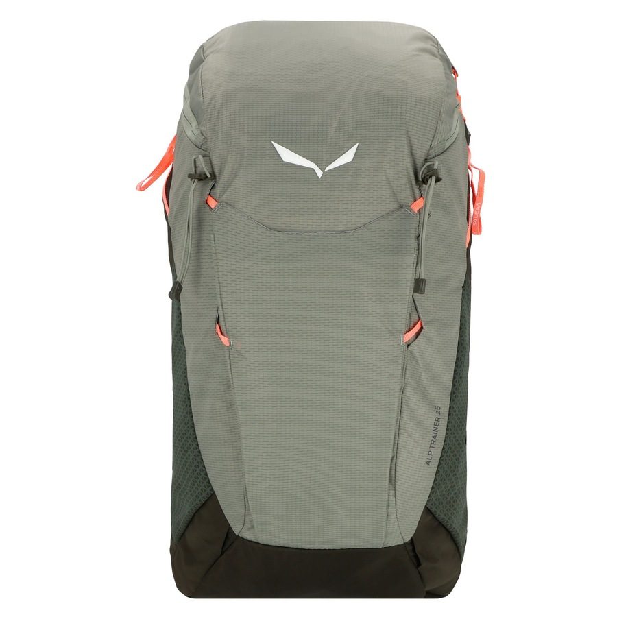Salewa Alp Trainer Rucksack Reisetaschen 1 ct Hellbraun Herren