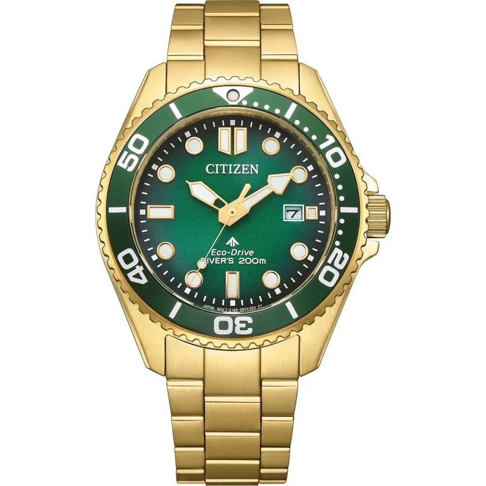 Citizen Uhren - Promaster Eco-Driver - BN0262-59W