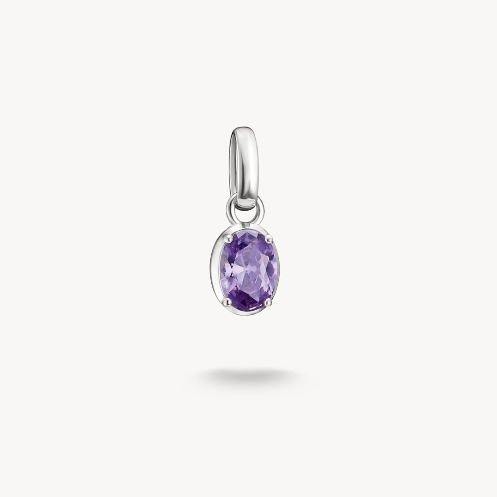Thomas Sabo Charm - Geburtsstein Februar - CC1330-051-13