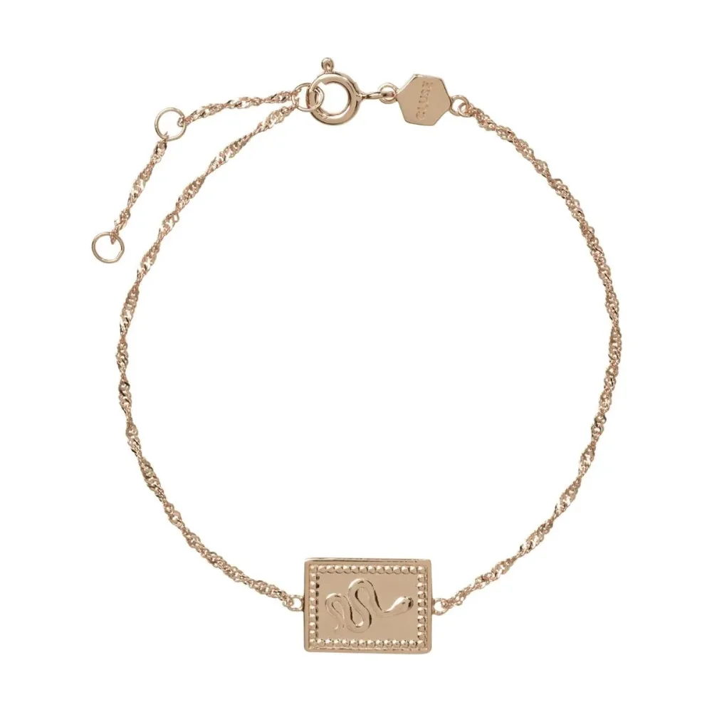Cluse Armband - Force - CLJ10022