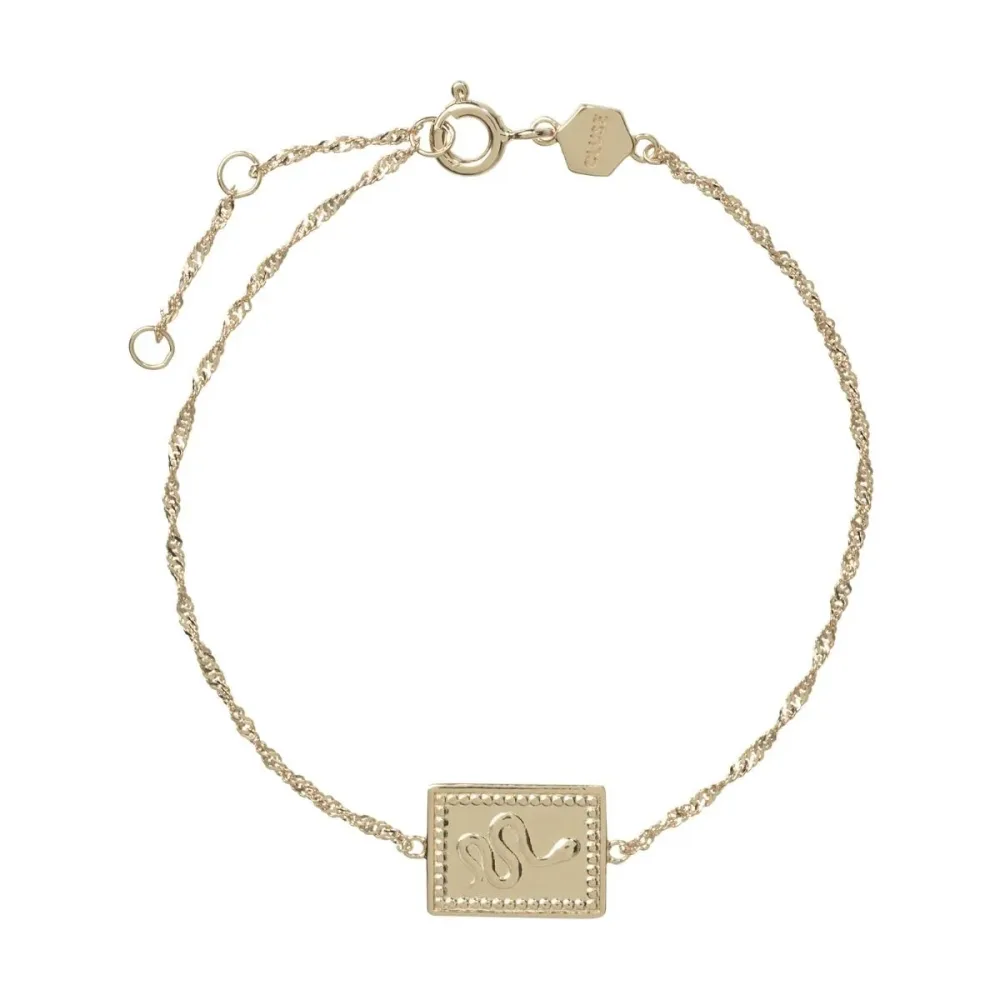 Cluse Armband - Force - CLJ11022