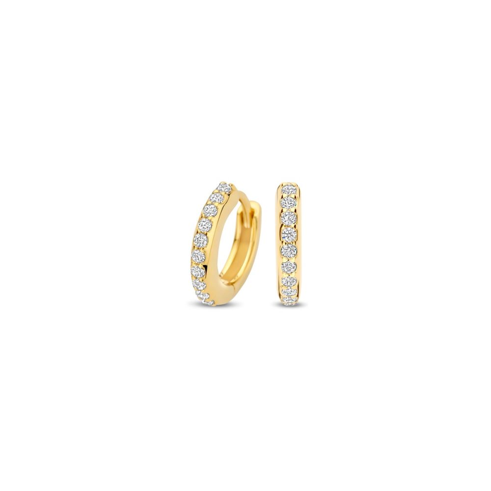 FJF JEWELLERY Creolen - FJF0030051YWH