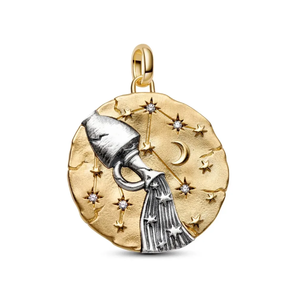 Pandora Charm - XL Aquarius - 765004C01