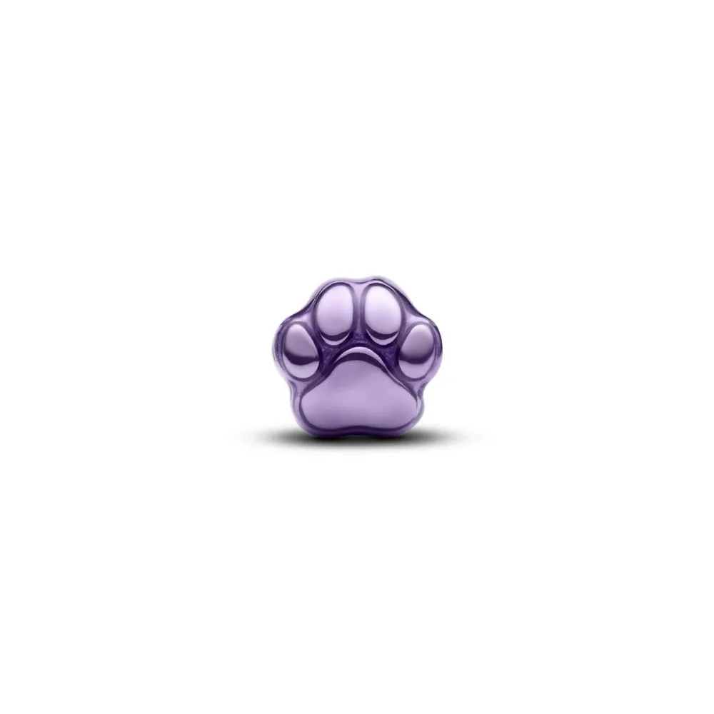 Pandora Charm - 794782C01
