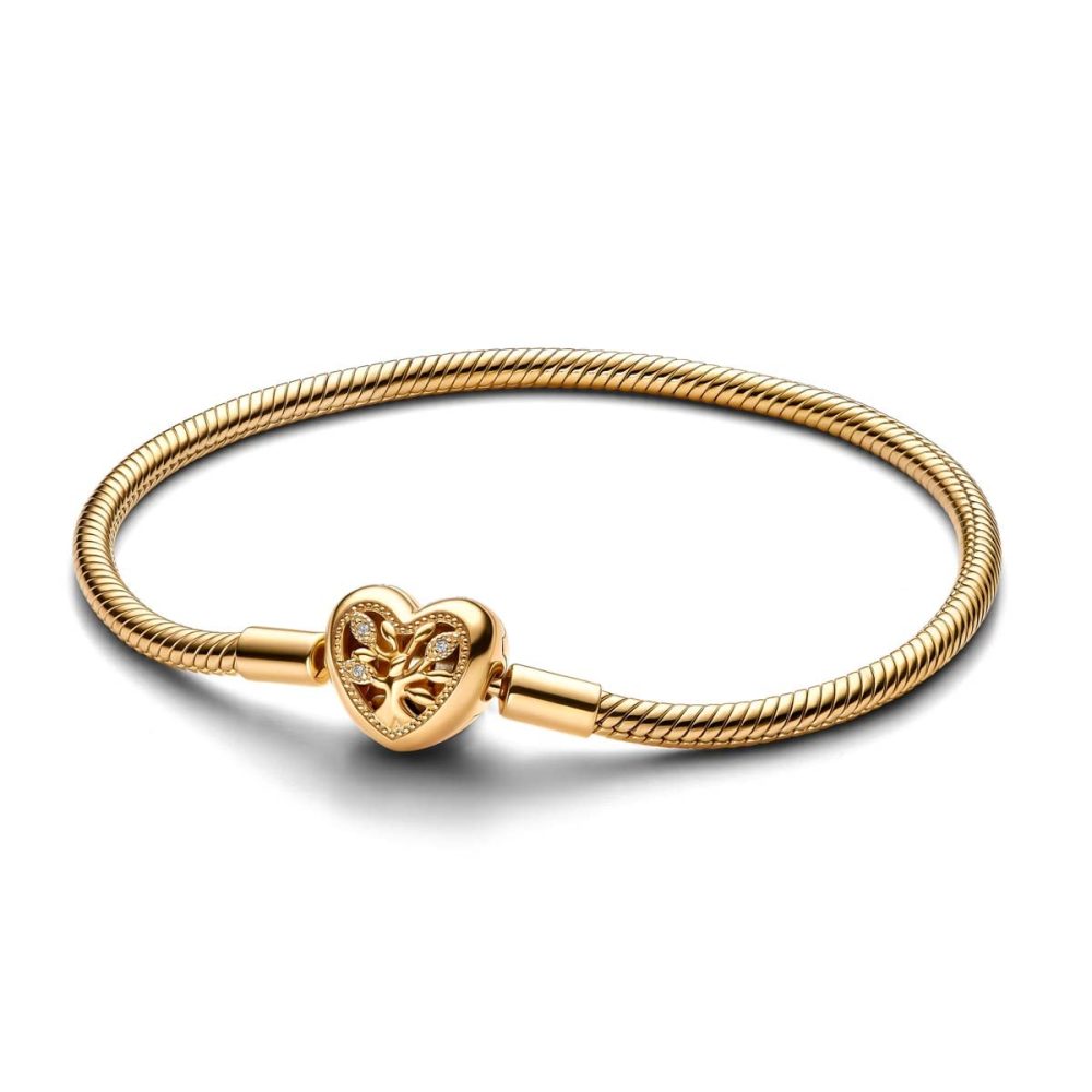 Pandora Armband - 563516C01