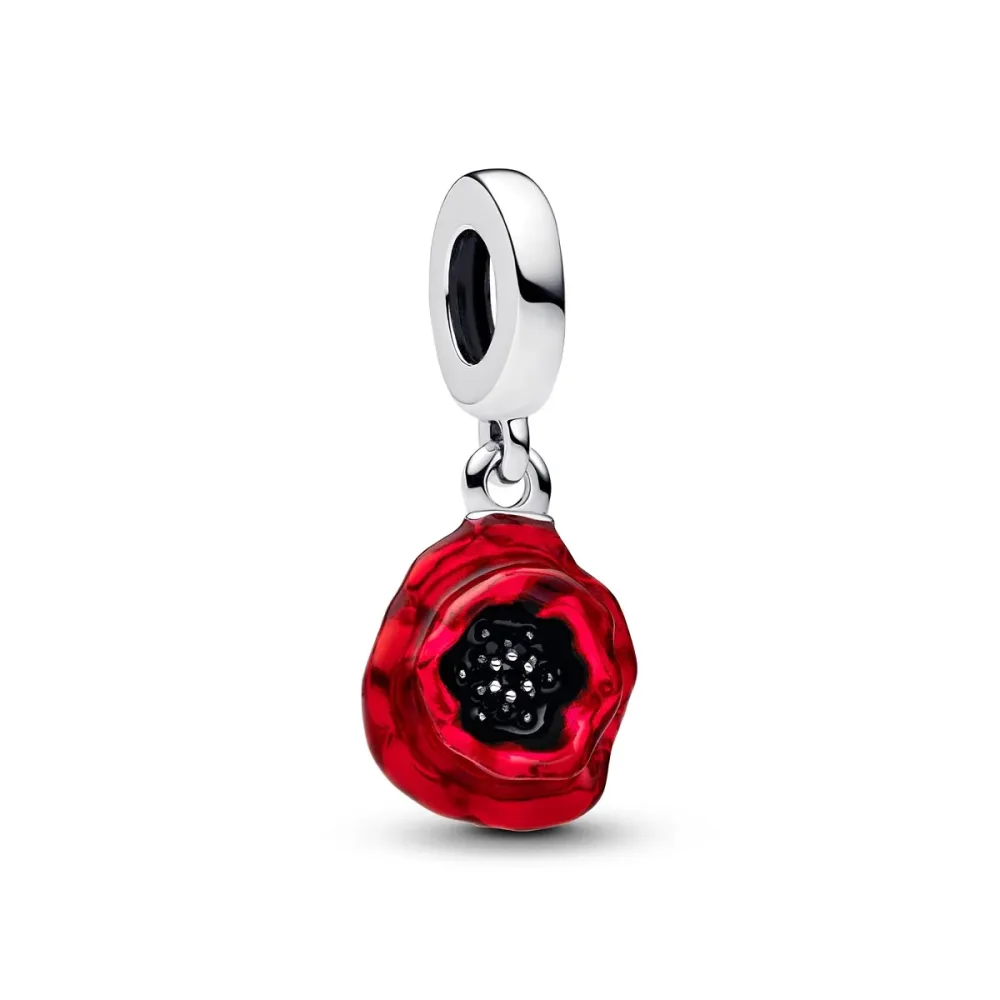 Pandora Charm - 793917C01
