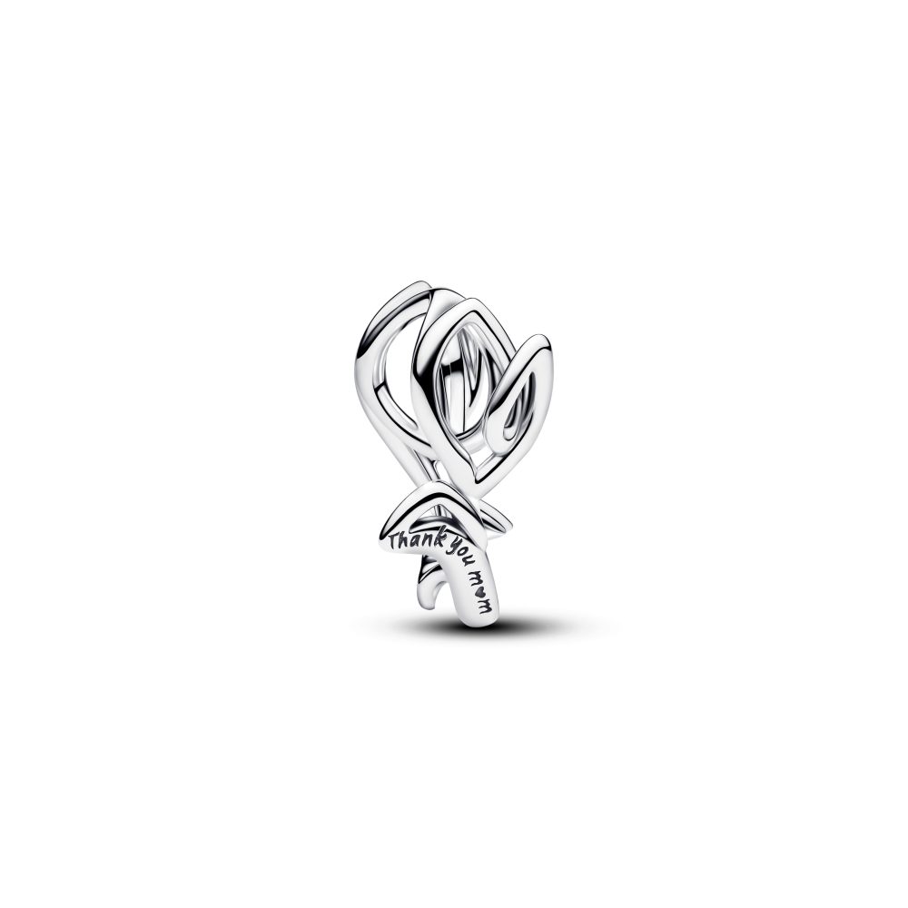 Pandora Charm - 794488C00