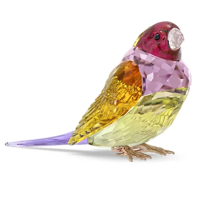 Swarovski Kristall Figuren - Idyllia SCS Gouldamadine groß - 5689265