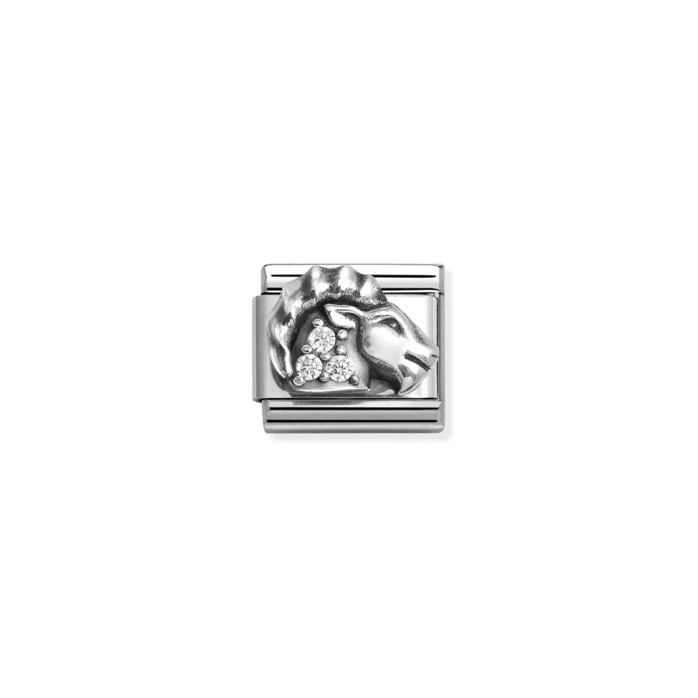 Nomination Charm - COMPOSABLE CLASSIC - 330326/10