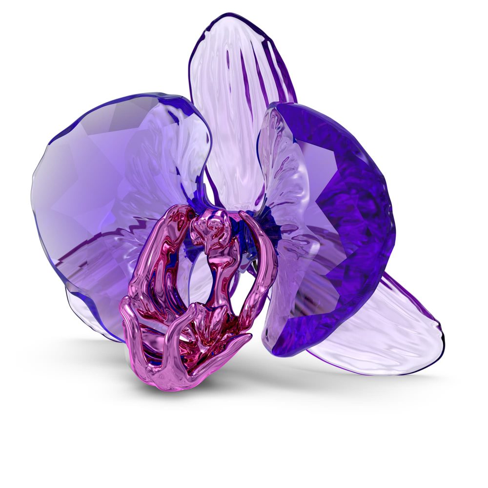 Swarovski Kristall Figuren - Idyllia SCS Orchidee - 5669354