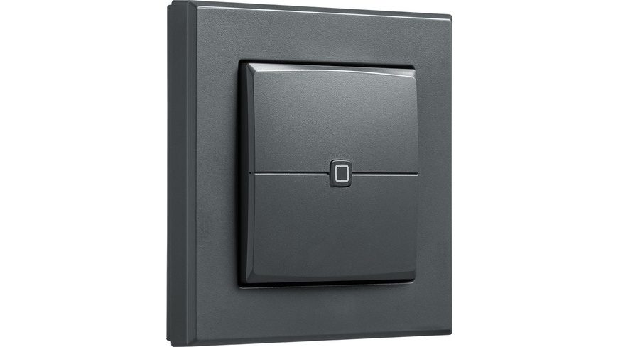 Homematic IP Wired Smart Home Wandtaster ? 2-fach, anthrazit, HmIPW-WRC2-A