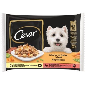 Cesar Selection 8x100g in Gelee