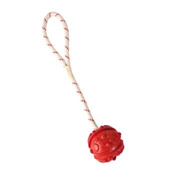 Trixie Ball am Seil