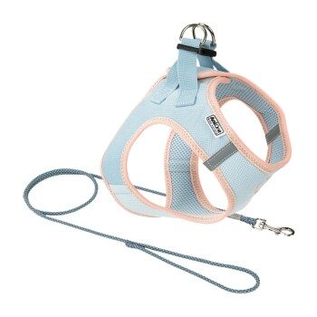 AniOne Pepe&Kitty Welpenset blau XS