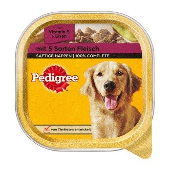 Pedigree Adult in Terrine mit Rind 20x300g