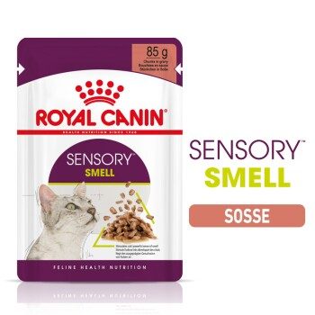 ROYAL CANIN Sensory Smell in Soße für wählerische Katzen 12x85 g