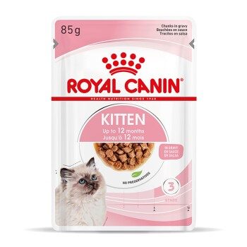 ROYAL CANIN Kitten in Soße 12x85 g