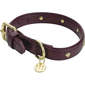more LIFESTYLEPETS Moli Halsband Hund Herz XXS