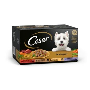 Cesar Landküche in Sauce 8x150g