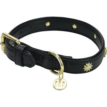 more LIFESTYLEPETS Moli Halsband Hund Sonne XS