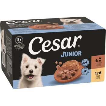 Cesar Nassfutter Junior 2 Varietäten Multipack Huhn, Truthahn 8x150g