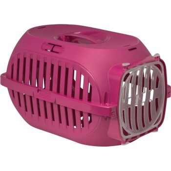 FIT+FUN Transport Box magentarot