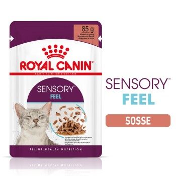 ROYAL CANIN Sensory Feel in Soße für wählerische Katzen 12x85 g