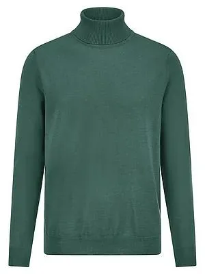 Rollkragen-Pullover Louis Sayn grün