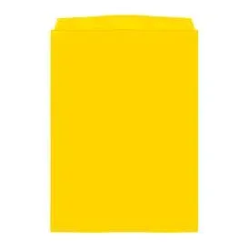 Orgatex Sichttaschen, A4 hoch, gelb, 10 St.