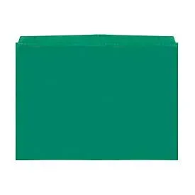 Orgatex Sichttaschen, A4 quer, grün, 50 St.