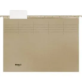 BIELLA Register-H&auml;ngemappen-Set A4 27143025U grau, 32x25cm 10 St&uuml;ck