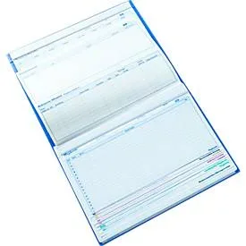 BOI Patienten-Dokumentationsmappe Professional Line, DIN A4, Klarsichttaschen, 10-farbiges Reitersystem, 4 Heftmechaniken, blau, 10 Stück