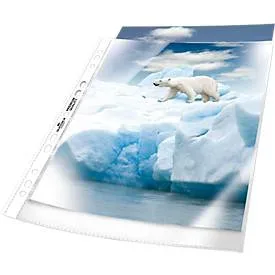 DURABLE Premium Prospekthüllen 268319 A4 PP (Polypropylen) 21 (B) x 0.016 (T) x 29.7 (H) cm Transparent 100 Stück