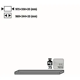 Fachboden Standard für asecos Sicherheitsschränke der UB90 Serie, Stahlblech, lichtgrau, B 975 x T 350 x H 20 mm, bis 30 kg