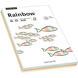 PAPYRUS Rainbow Mixpack 88043187 pastell, 80g 100 Blatt
