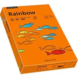 PAPYRUS Rainbow Papier FSC A3 88042456 intensivorange, 80g 500 Blatt