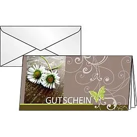 Gutscheinkarte Sigel Favourite, DIN lang, vorne mit Motiv, klappbar, geeignet für Drucker/Kopierer, inkl. Briefhüllen, FSC®-Glanzkarton, 10 Stück