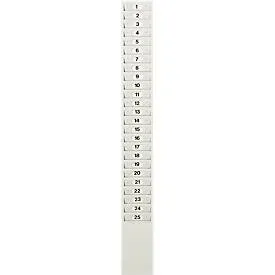 Kartenkasten für 25 Wochen-/Monatskarten