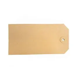 Kartonanhänger 70 x 140 mm, 1000 St.