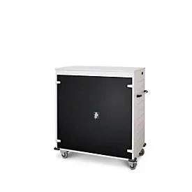 Laptopwagen mit Ladefunktion, 2-Punkt-Verriegelung, CH-Stecker, Feststellbremse, 30 Fächer, B 1310 x T 500 x H 1250, schwarz