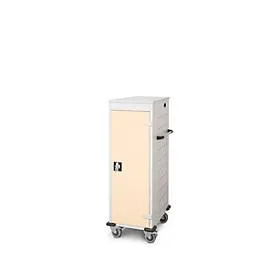 Laptopwagen mit Ladefunktion, 2-Punkt-Verriegelung, Feststellbremse, CH-Stecker, 10 Fächer, B 530 x T 1250 x H 500, hellelfenbein