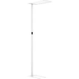 LED-Stehleuchte Dotlux OFFICEbutler, Leistung 55 W, 5500 lm, 4000 K, dimmbar, direkt/indirekt leuchtend, signalweiss