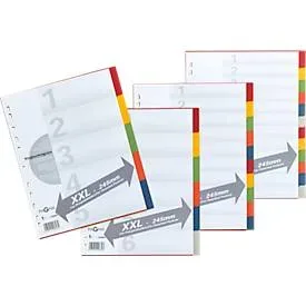 PAGNA Kartonregister mit Deckblatt in Überbreite, zur freien Verwendung, 10 Blätter, 5-farbig